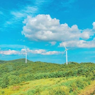 三界修仙果盘版下载